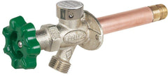 PRIER Products P-164W12 Residential Quarter-Turn Anti-Siphon Wall Hydrant