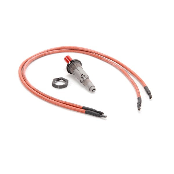 Pilot Igniter with Two 20 Wires for Nieco 4181