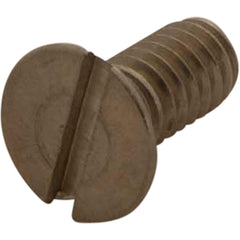 SCREW SPRAY FACE 921-45 for T&S Brass 921-45