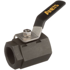 Ball Valve - 1-1/4 for Anets P8835-16