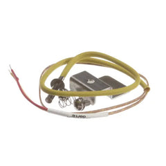 THERMOCOUPLE KIT ESDZ-1200 for Roundup - AJ Antunes