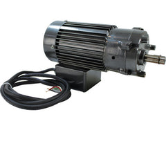 GEAR MOTOR 0.14/0.17HP 50/60HZ 113732 for Champion CHA113732