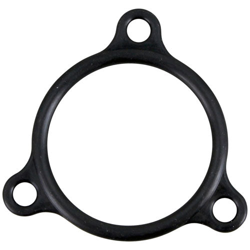 HEATER FLANGE SEAL for Champion CHA109985