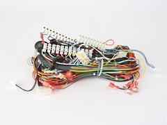 Laars E2358600 Wiring Harness Main LX