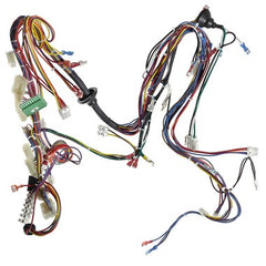 Laars 12H7010 Wiring Harness Main LMH M2