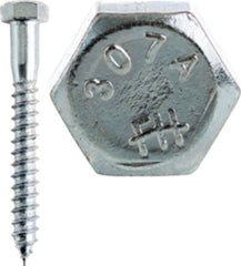 CULLY 57464J 3/8 x 4 Lag Screw, Hex Head, Zinc Plated,Jar