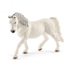 True Value 13819 WHT Lipizzaner Mare EA