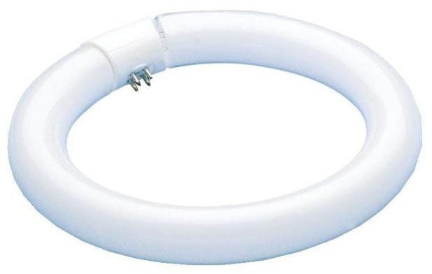 Westinghouse 0601000 Circular Fluorescent Lamp 22 Watt 8 Inch