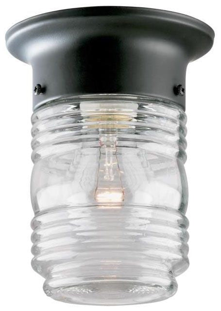 Westinghouse 6691900 Ceiling Mount Light Fixture 120 VAC 1L Jelly Jar