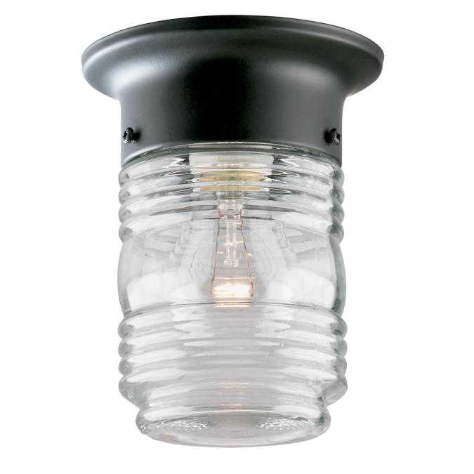 Westinghouse 6691900 Ceiling Mount Light Fixture 120 VAC 1L Jelly Jar