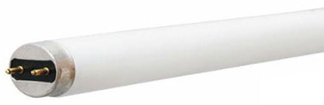 GE Current 68852 Linear Fluorescent Lamp 32 Watt 48 Inch 36 per Case