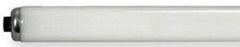 General Electric 23075(F60T12/CWHO15PK) Linear Fluorescent Lamp 75W 60 Inch 15 per Case