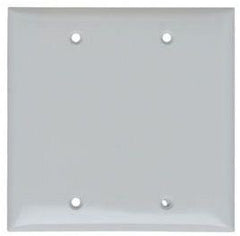 PASS & SEYMOUR SP23W 2 GANG WALL PLATE WHITE