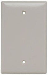 Pass & Seymour SPJ13LA Wall Plate Power (1 Pack) Replacement MPN