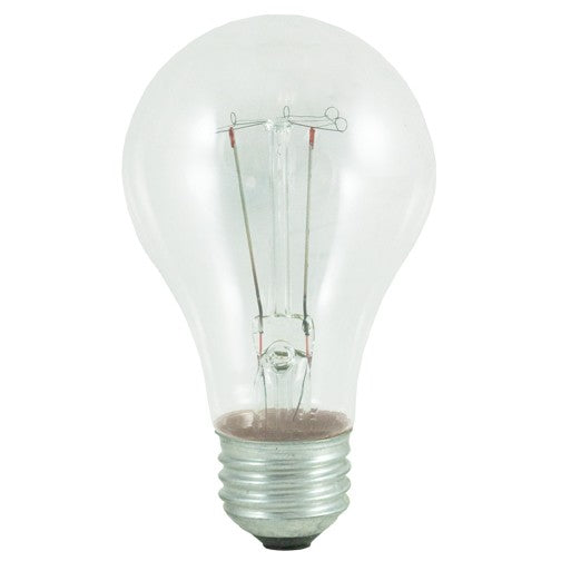 Philips 25A/CL-24/2PK 25W Clear A19 Medium Base Lamp