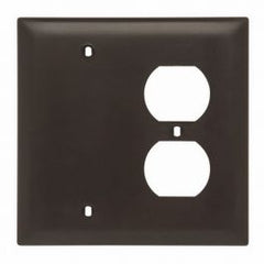 Pass & Seymour TP138 Wallplate Combination 2 5in BR 2 V Bare