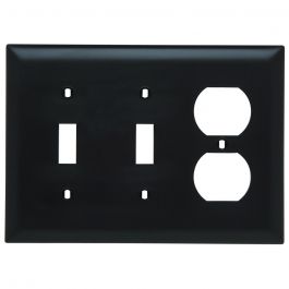 Pass & Seymour TP28 3-Gang 2-Toggle Switch 1-Duplex Receptacle Brown Nylon Standard Combination