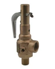 Conbraco 19-KHGA-30 1.5x2 inch 30# Steam Relief Valve