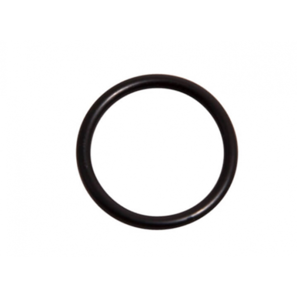 Lochinvar 100076308 O-Ring FKM Replacement Part