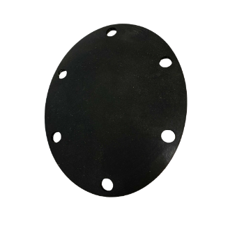 Lochinvar 100191119 Burner Plate Gasket