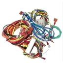 Raypak 006738F Wiring Harness IID 185A-405A