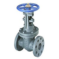 Nibco NHAW00K F-667-O Gate Valve 6 in Flanged