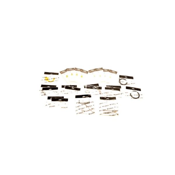 Lochinvar 100314828 Maintenance Kit Preventative Service for AW151/286 Armor