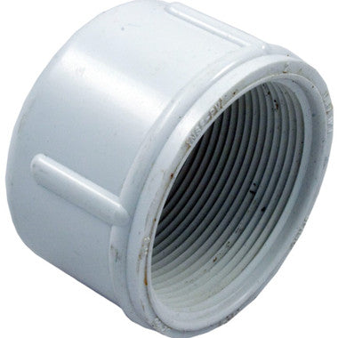 Lasco 448-020 Cap 2 Female Pipe Thread