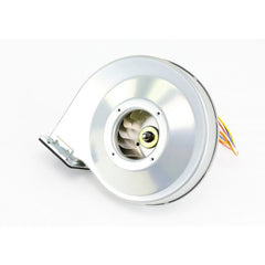 Lochinvar 100074228 Fan Motor