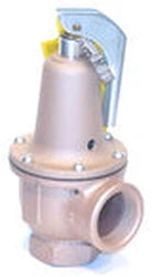 Watts 383369 Pressure Relief Valve 65 Pounds 1.25 Inches