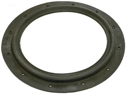 HAYWARD ECX1003 POOL O-RINGS & GASKETS