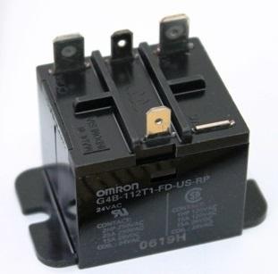 Lochinvar 100288566 24V Relay