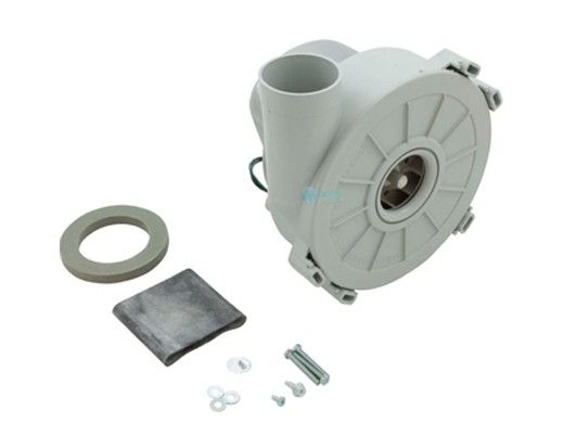 Zodiac R0308200 Jandy Combustion Blower