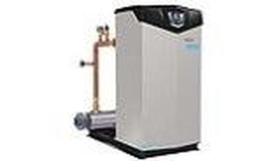 LOCHINVAR 100288899 GAS VALVES