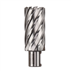 DEWALT DWAC02019 DRILL & DRIVER BITS