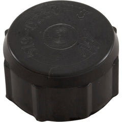 Waterway Plastics 519-0231 Drain Cap Waterway Filter On/Off Valve 1/2fght