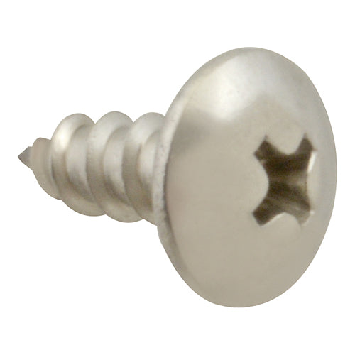 Screw SM/TH/SS 100 for Mavrik 6121008