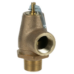 Valve Steam Safety 3/4 for Mavrik 561356