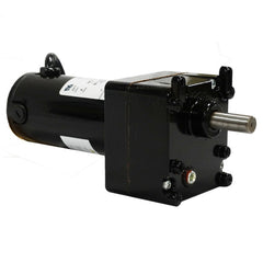 2423-300 RAE | Parallel Shaft Gearmotor - 90VDC, 10 RPM