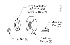 Johnson Controls KIT14A-614 Flange Kit for 2-1/2 Inch Valve