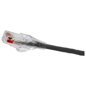 183669820.jpg