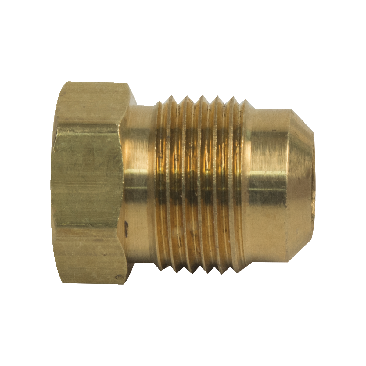 BrassCraft 39-8 1/2 in. O.D. Tube Flare Plug