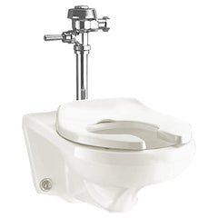 American Standard 2296019EC.020 Afwall FloWise Elongated Toilet Bowl in White