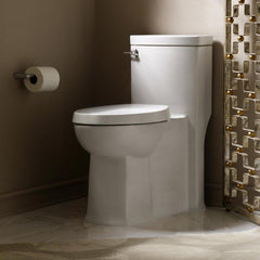 American Standard 2891.128.020 Boulevard Elongated One Piece Toilet 1.28 GPF