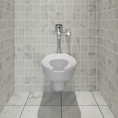 AMERICAN STANDARD 624B161.002 TOILETS & ACCESSORIES