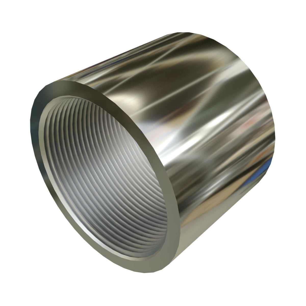 Calbrite S61000CP00 Stainless Steel Coupling 1 Inch