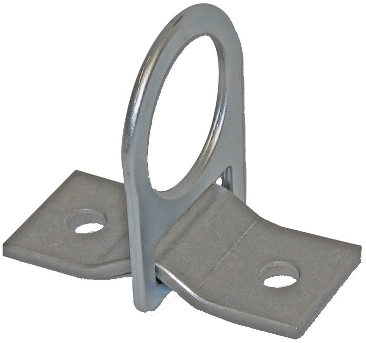 Guardian Fall Protection 360 130 to 420 lb 4-1/4 x 2 Stainless Steel D-Ring 2-Hole Anchor Plate