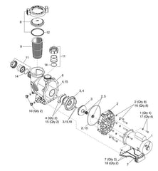 Jandy R0449100 Pro Series Lid Seal & O-Ring