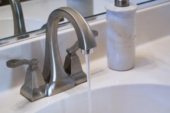 NIAGARA N3210B-PC-TU BATH & KITCHEN FAUCETS