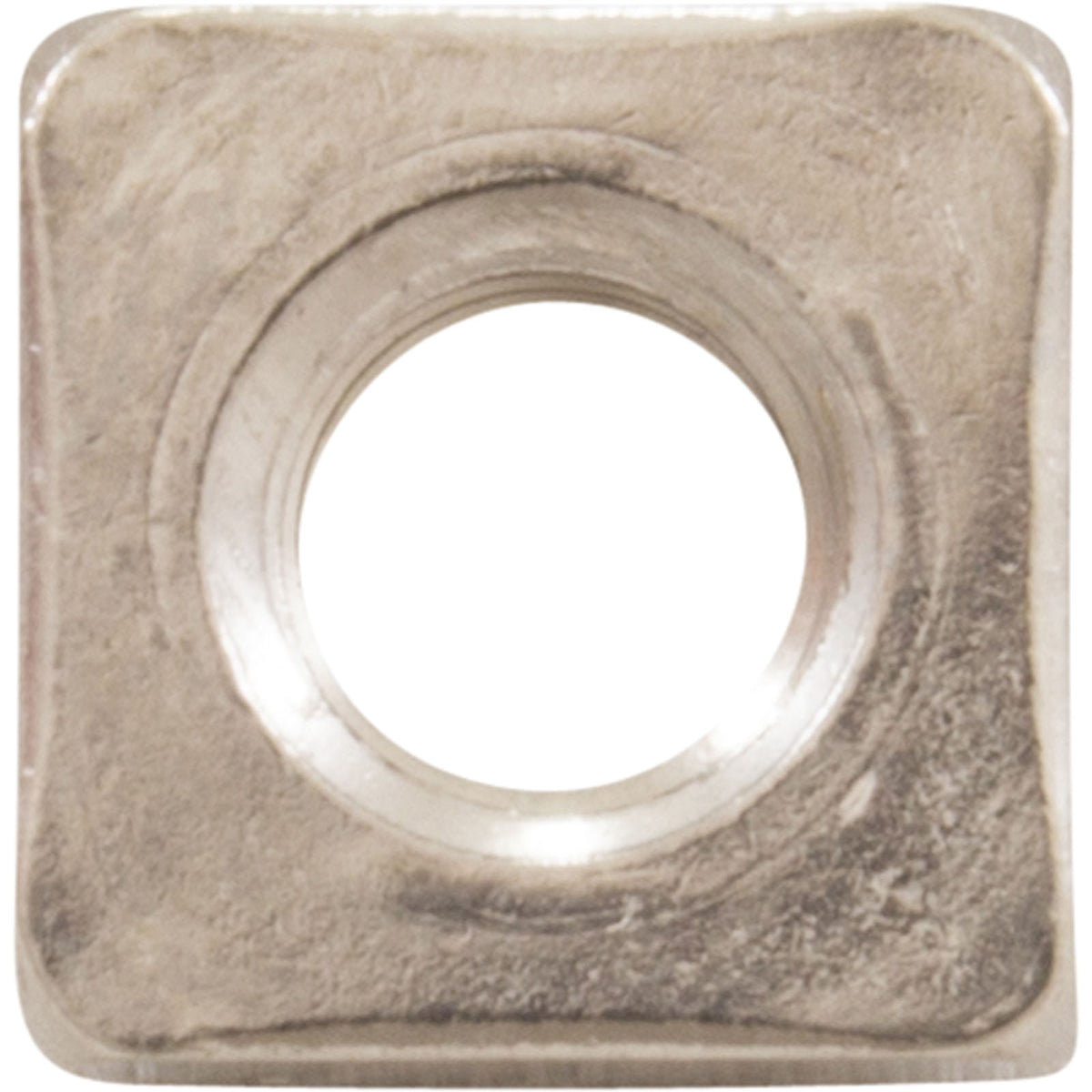 Pentair 357254 Square Nut Size: 1/4-20 Stainless Steel